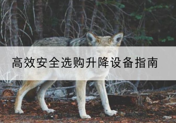 南开区升降货梯厂家推荐-*安全选购升降设备指南