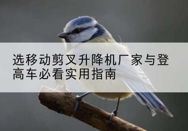 南开区电动升降机厂家-选移动剪叉升降机厂家与登高车必看实用指南