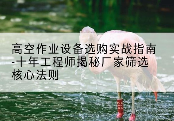 南开区剪叉式升降机厂家-高空作业设备选购实战指南-十年工程师揭秘厂家筛选核心法则